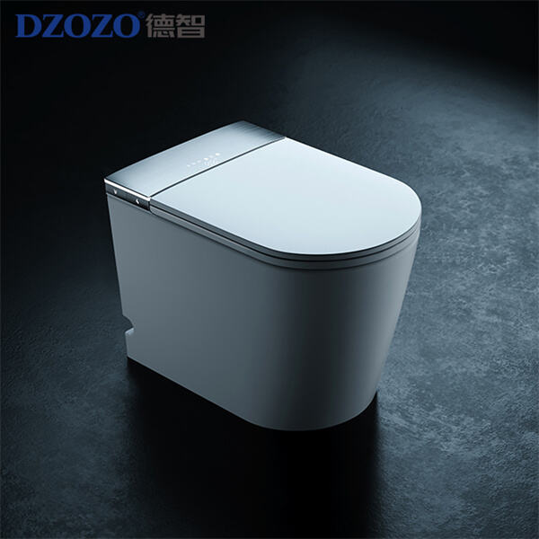 Navigating high tech toilet prices to find the right fit