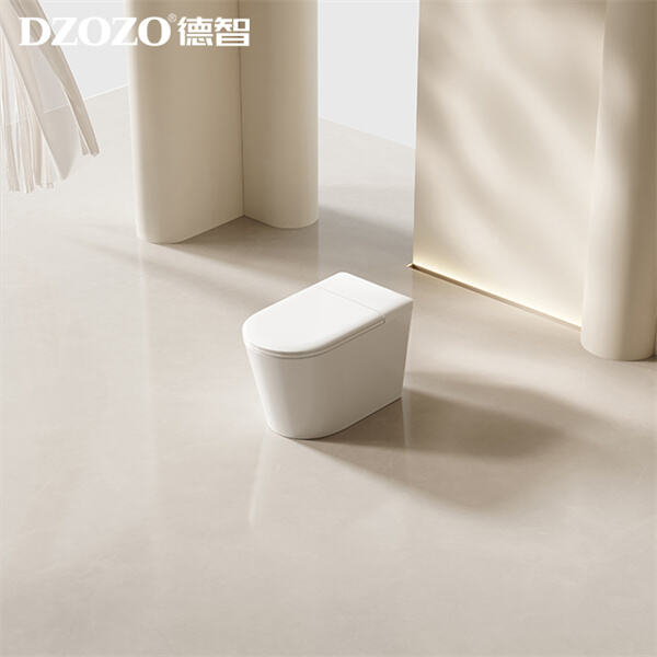 How a Toilet Bowl Sink Combats Germs and Bacteria