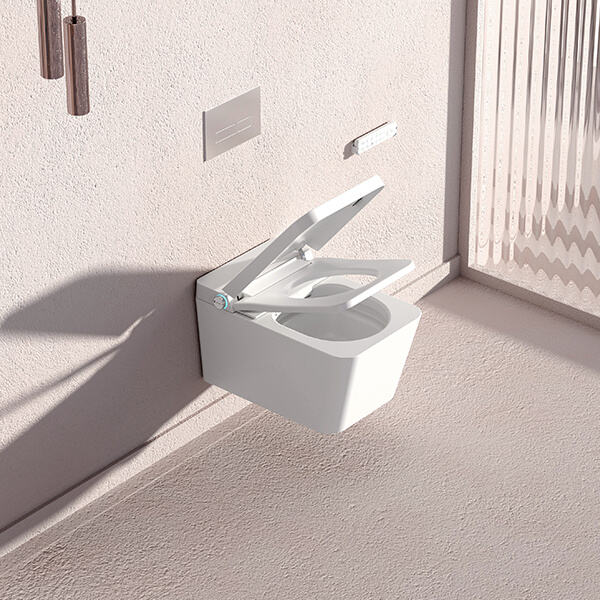 Your Personal Hygiene Assistant - The Smart Toilet Bowl