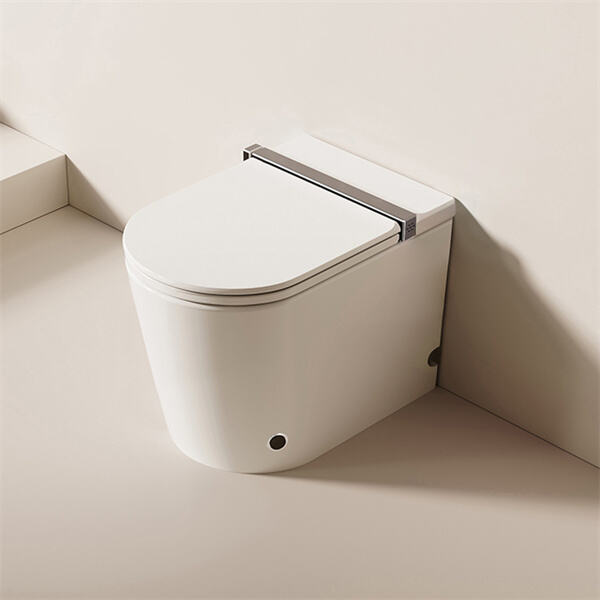 The Exorbitant Cost of Smart Toilets