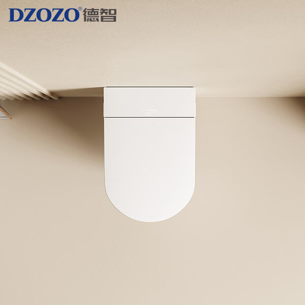 Wall Mounted Toilet Bowls.