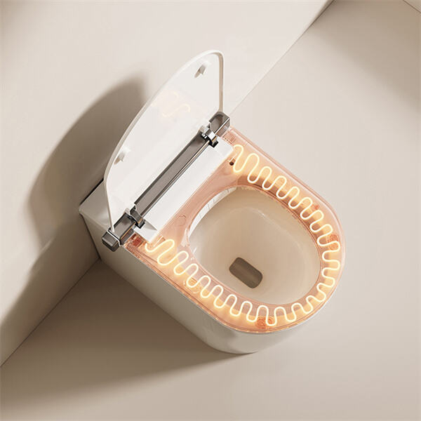 The environmental benefits of smart toilets.