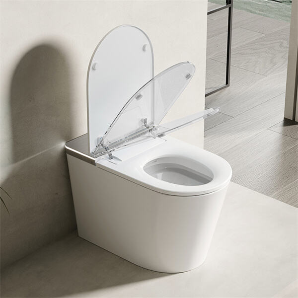 An Intelligent Toilet Bowl!