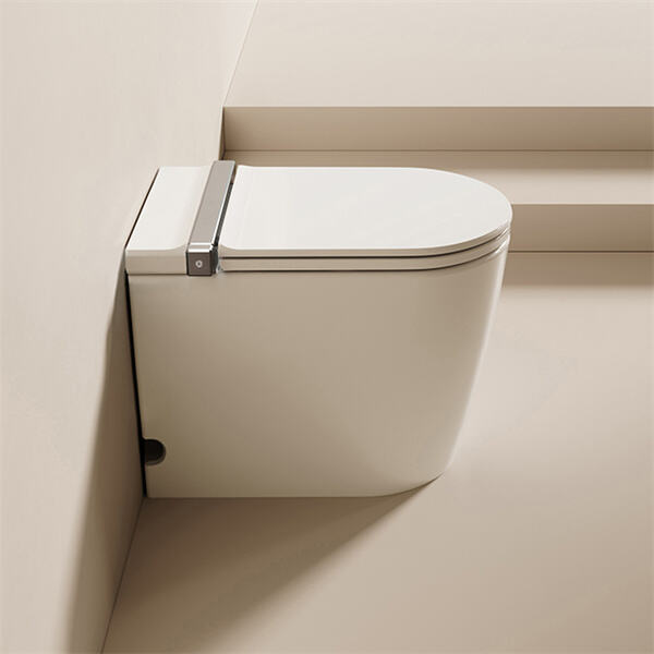 The most high tech toilets that will make you feel like royalty.