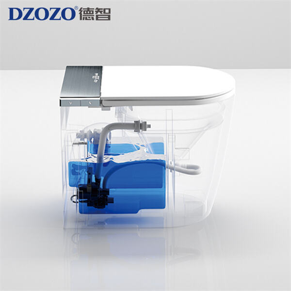 The features driving high tech toilet costs