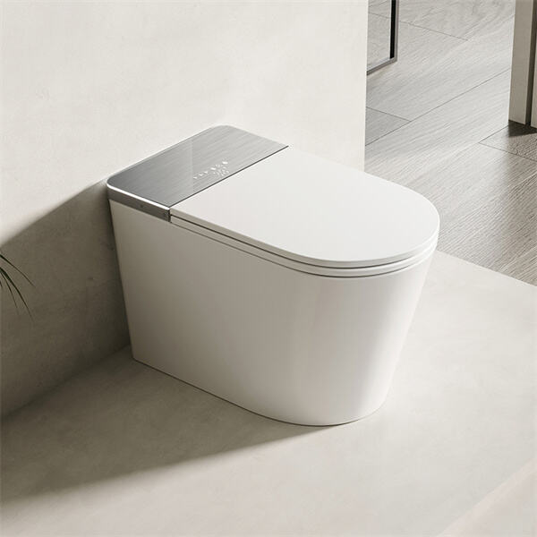 The Intelligent Toilet Bowl.