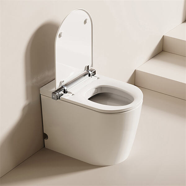 The coolest features of the most high tech toilets.