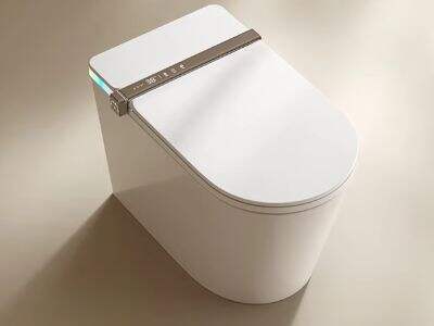 Why Smart Toilets Are the Future of Bathroom Technology