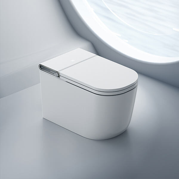 Varför en bidet är ett nödvändigt tillägg till din toalettrutin.