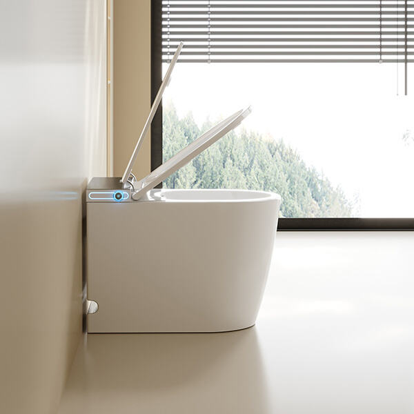 Wie man die beste westliche Toilette für sein Zuhause auswählt