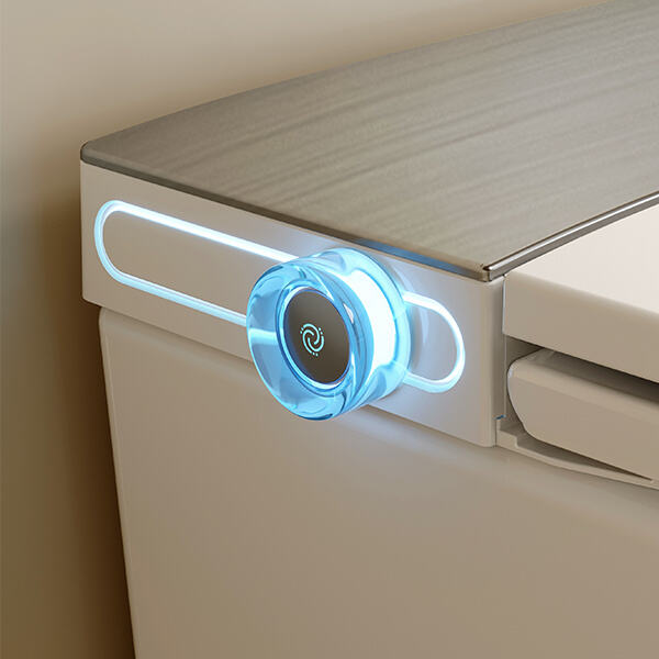 Die Geschichte und Entwicklung der westlichen Toilette