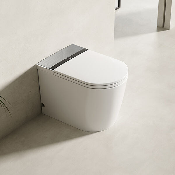 Un'introduzione al water intelligente.