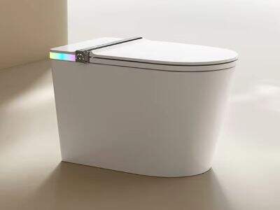 Custom Smart WC for Your Project: OEM & ODM Options