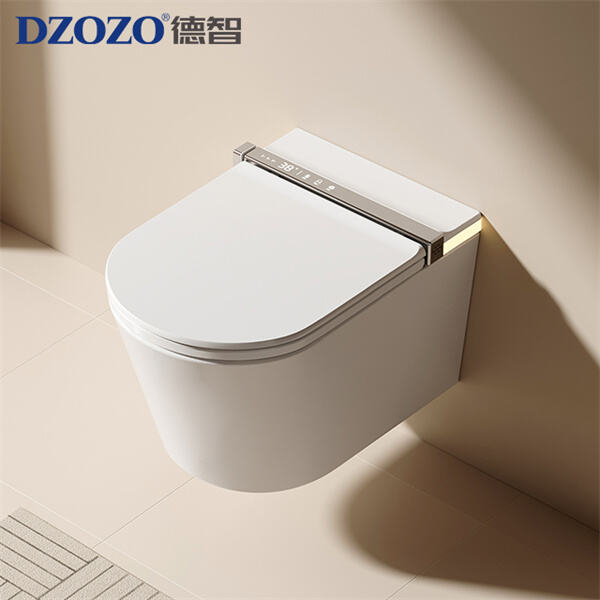 Why Wall Mounted Toilets Are the Future of Bathroom Design and Functionality
