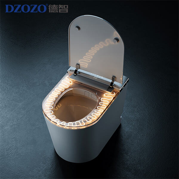 Exploring the evolving prices of high tech toilets