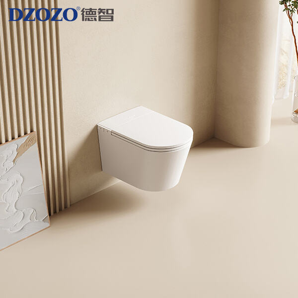 Wall Mounted Toilet Bowls.