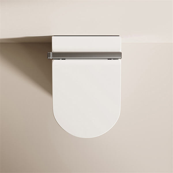 The Advanced Features of the Priciest Smart Toilets