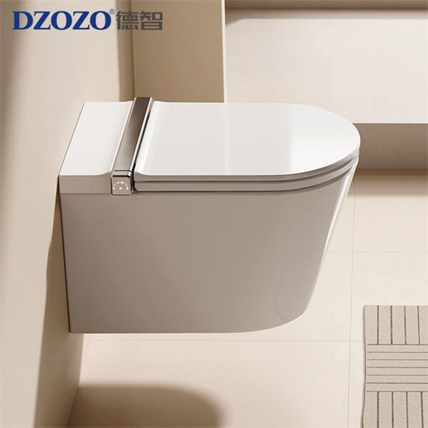 Wall Hung WC Toilets