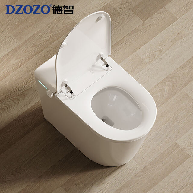 Floor mounted light smart toilet model S009