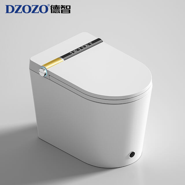 wall hung fully smart toilet model s030 grey-84