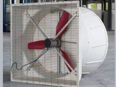 Como a ventilação adequada com exaustores aumenta o crescimento em estufas avícolas