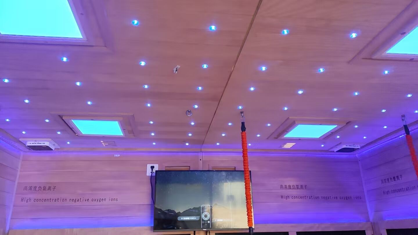 product saa fsc emc certified modern electric heating hemlock solid wood gym sauna outdoor room with fitness equipment oem custom-6