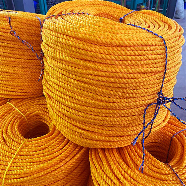 The eco-friendly production of Pp danline rope.