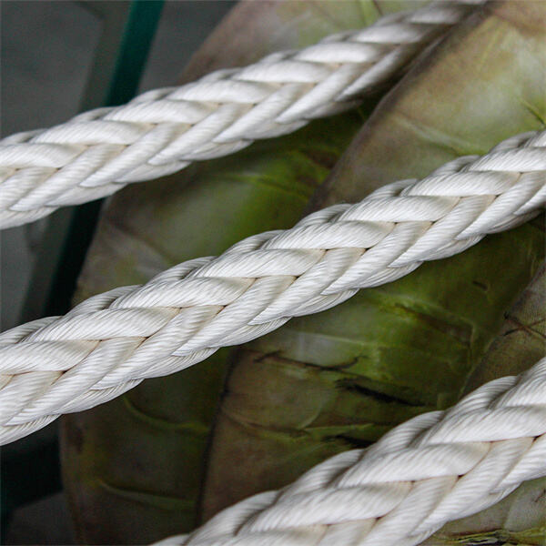 Innovation in UHMWPE rope for sailboat: