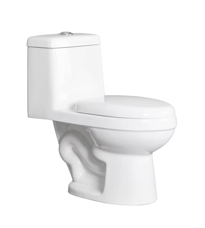 Aidibath One Piece Toilets: The Perfect Choice for Your Eco-friendly Bathroom