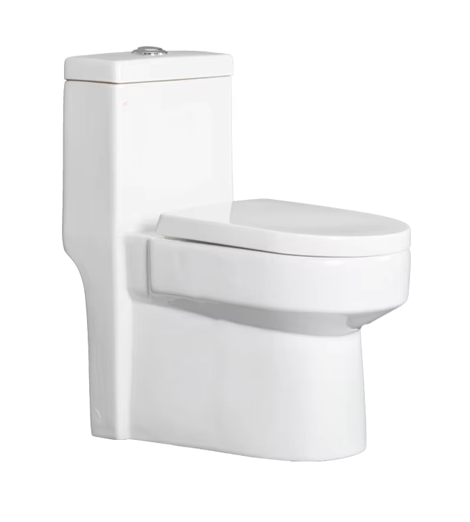 Aidibath Floor Mounted Toilets: The Perfect Choice for Your Eco-friendly Bathroom Needs