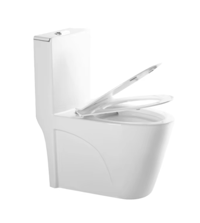 Aidibath One Piece Toilet: The Perfect Fit for Your Bathroom