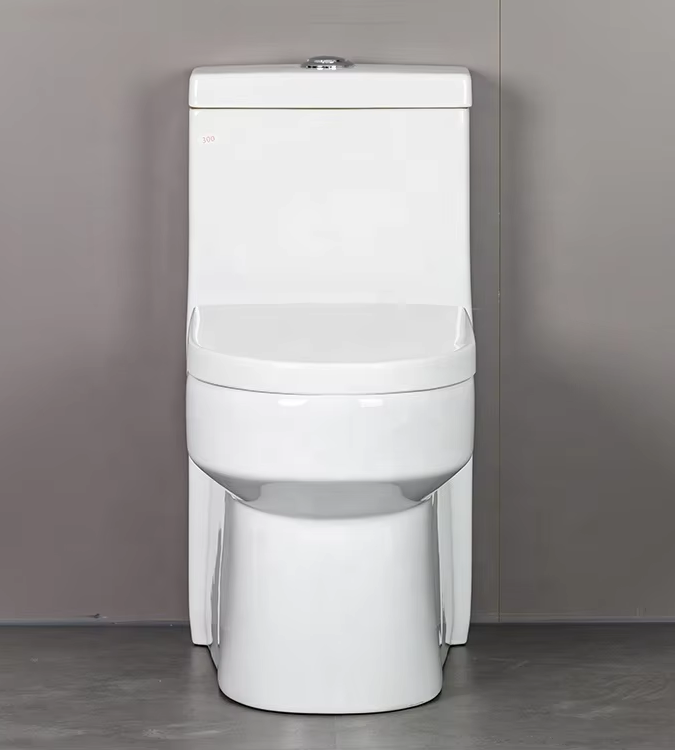 Aidibath Floor Mounted Toilets: The Perfect Fit for Your Bathroom