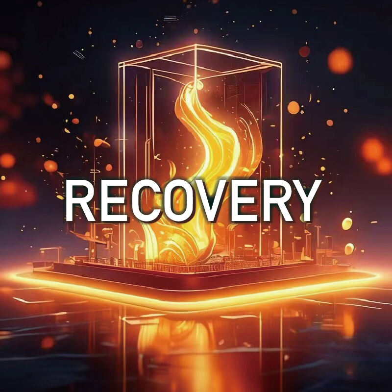 RECOVERY