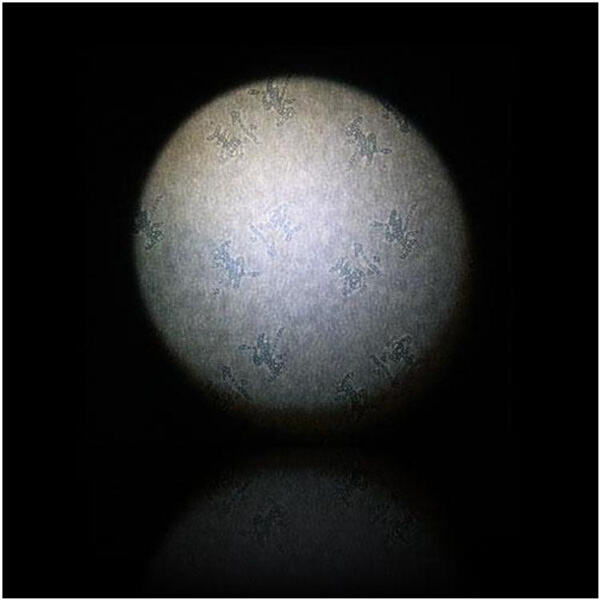 Holographic Check Paper