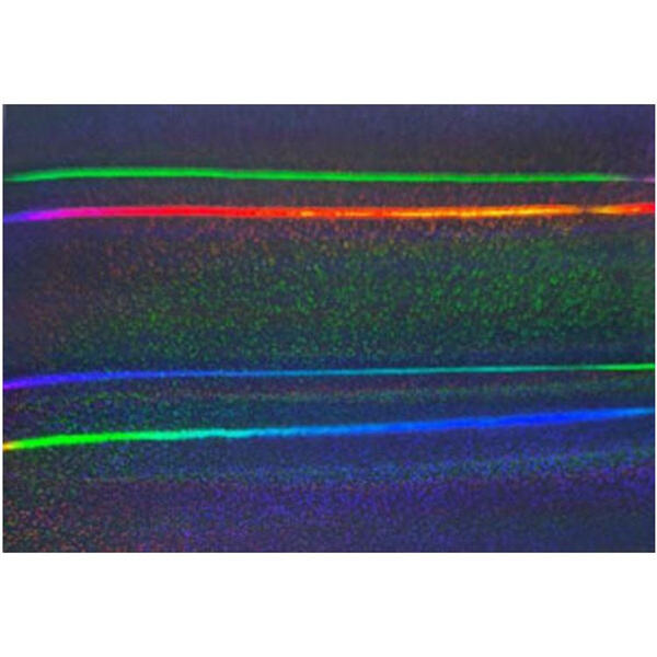 Sustainable Business Practices Start with Eco-Friendly Packaging Suppliers"