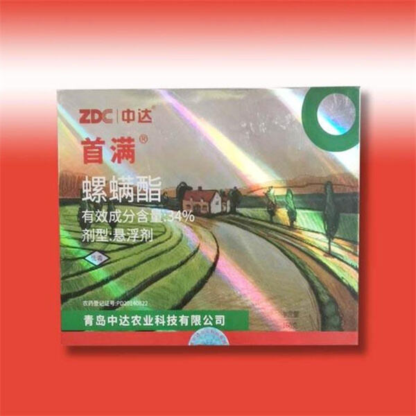 Services de livraison efficaces et ponctuels