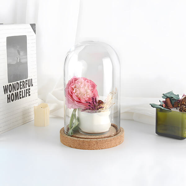 Versatile Glass Dome for Display or Storage