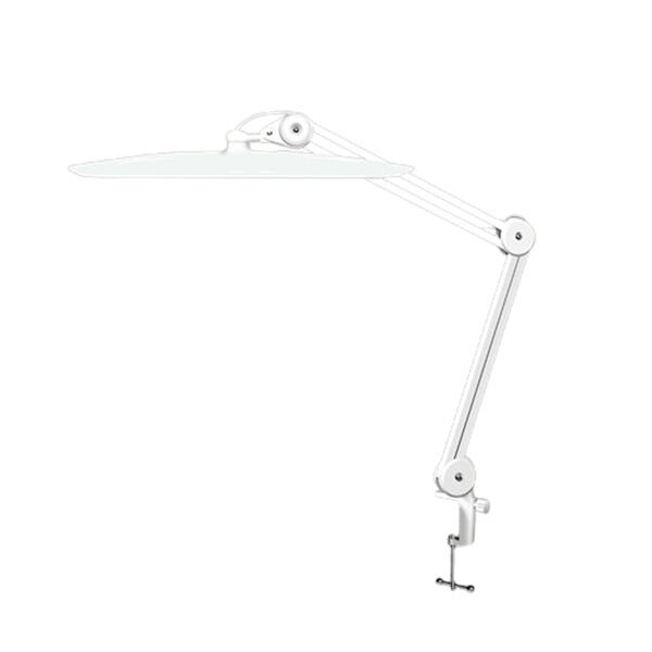 Adjustable brightness and color temperature for versatile lighting options