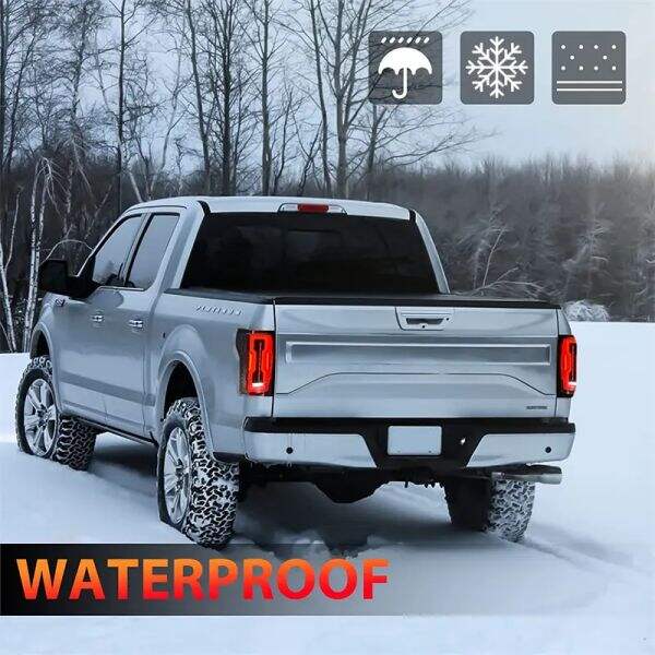 بر روی جاده با چراغ‌های عقب فورد F150 سال 2017 دیده شوید