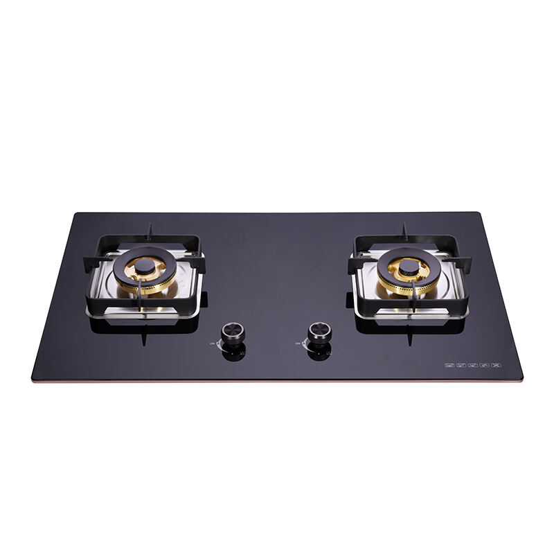 GTH-B-23206 | NG/LPG Convertible 2 Burner Built-In Glass Hob Gas Stove