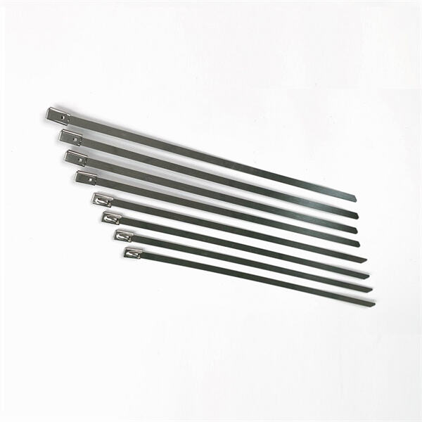 attaches enrubannées en acier inoxydable for sale