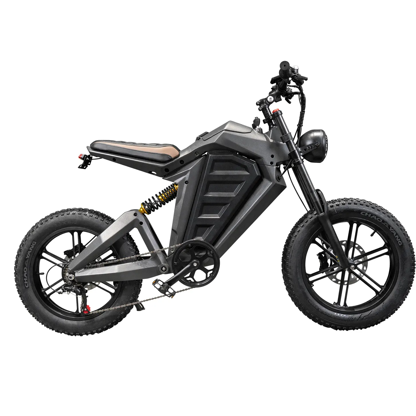 Fat Tire Electric Bicycle: Ride on Any Landscape without Fear