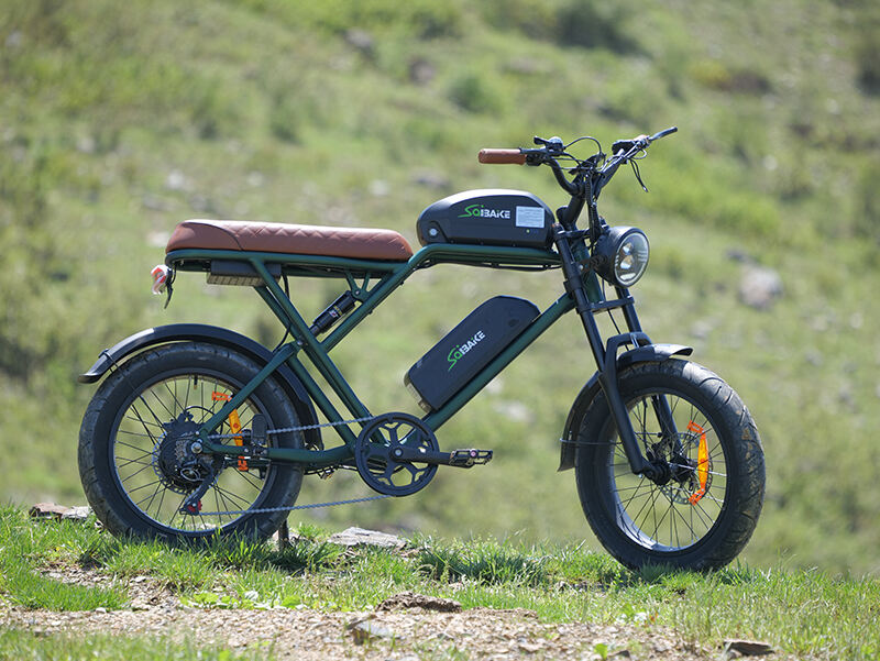 Essential Maintenance Tips for Electric Bicycles Prolonging Your E-Bike's Life Span