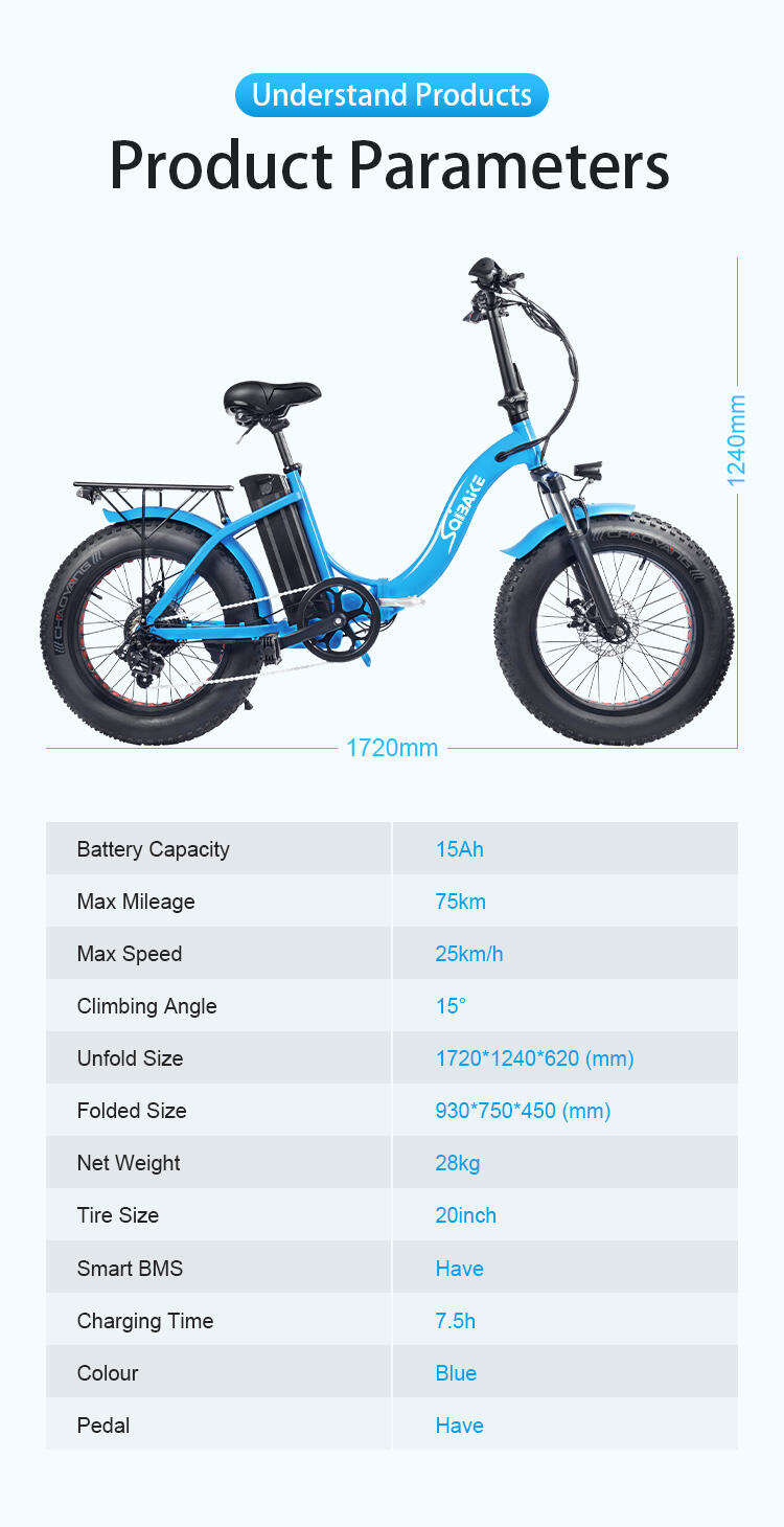 EU warehouse electric bike folding electric bicycle foldable e-bike 250w 25km/h 20 inch fat tire portable ebike for women supplier