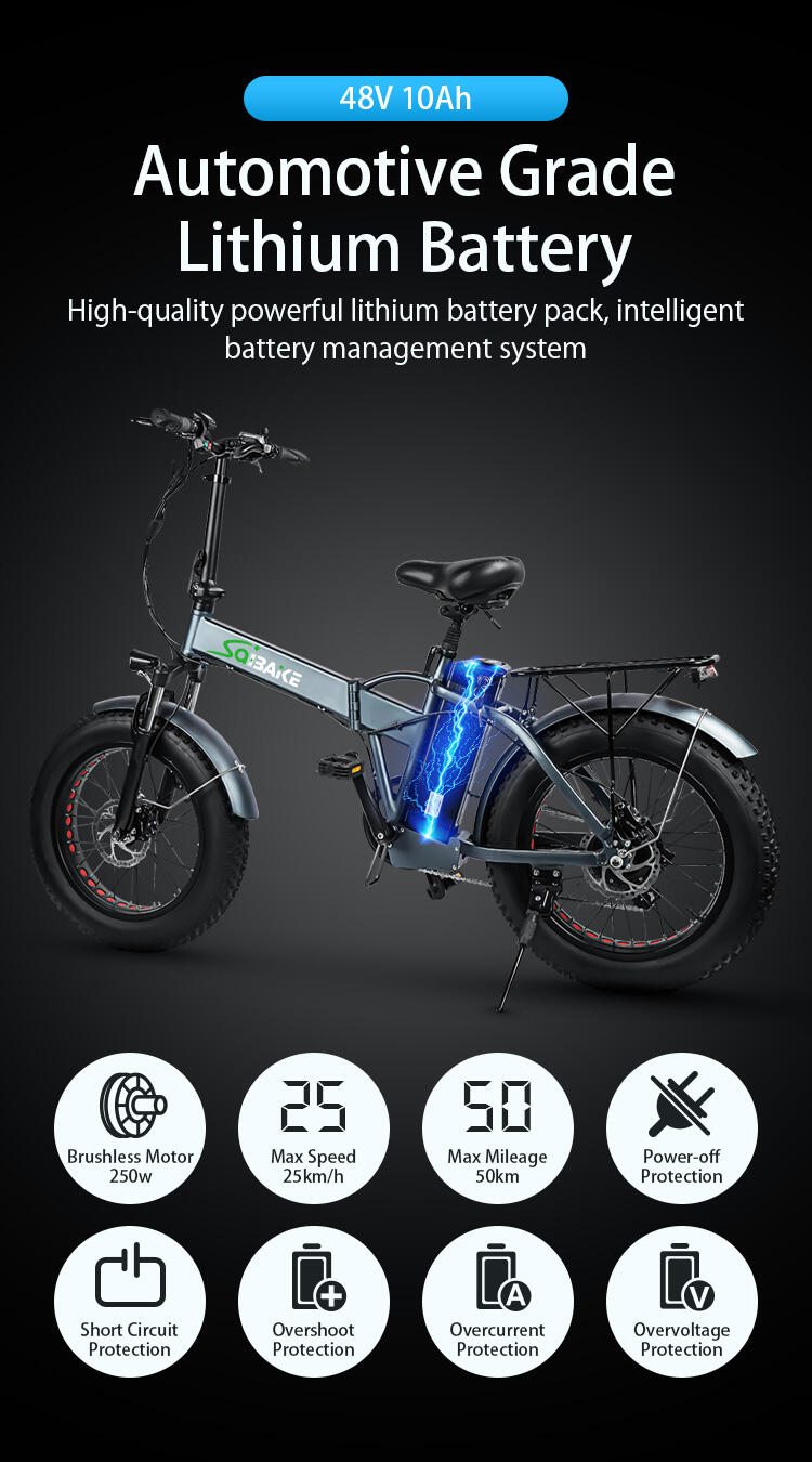 Cyclebike Snow Bicycle Electric Fat Tire Bike Cheapest Electric Bicycle Electric Folding Bike 500 watt E Bike E-bikes details