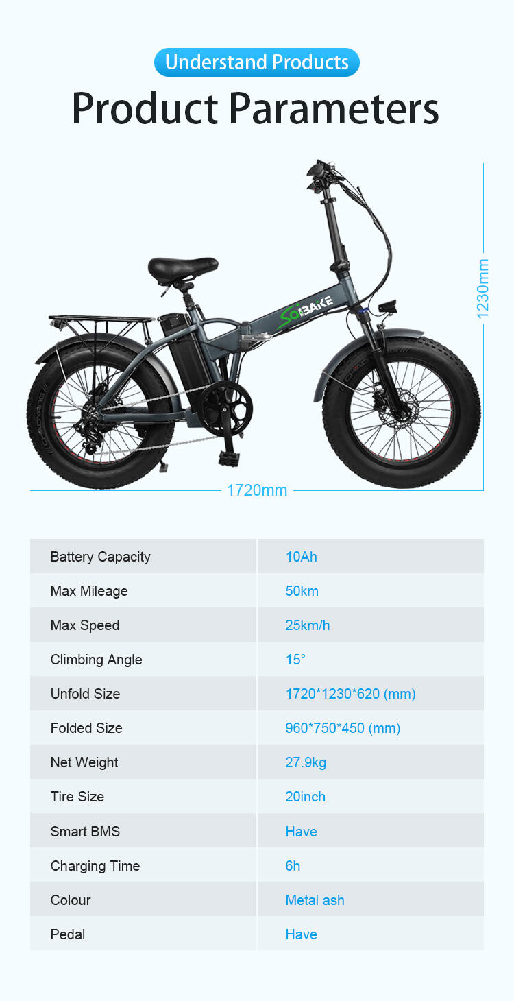 Cyclebike Snow Bicycle Electric Fat Tire Bike Cheapest Electric Bicycle Electric Folding Bike 500 watt E Bike E-bikes factory