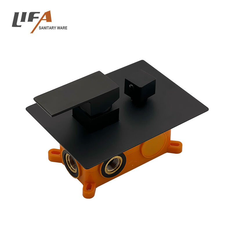 Concealed Faucet CSF04 supplier