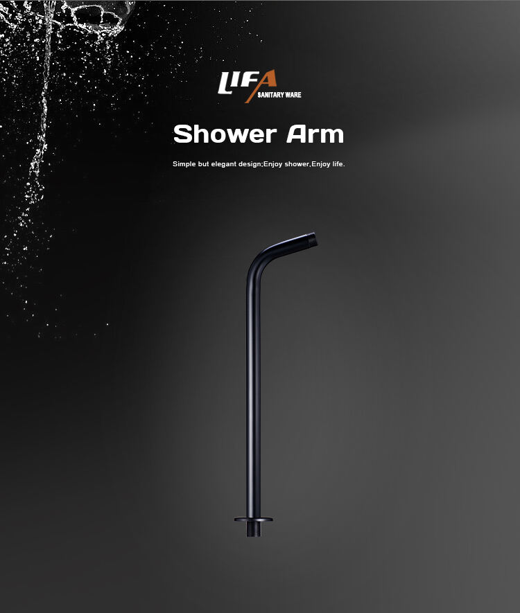 Wall mounted Shower head arm Stainless steel shower pipe for head shower F43/F44 factory