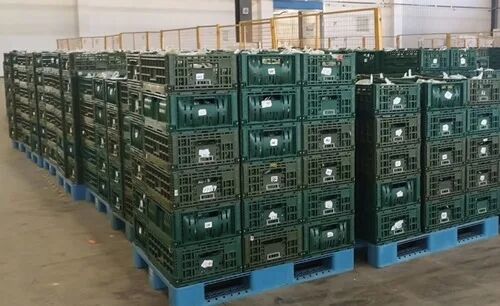 Factory Price Collapsible Plastic Basket Folding Plastic Storage Crates for Cold Fruit and Vegetables supplier