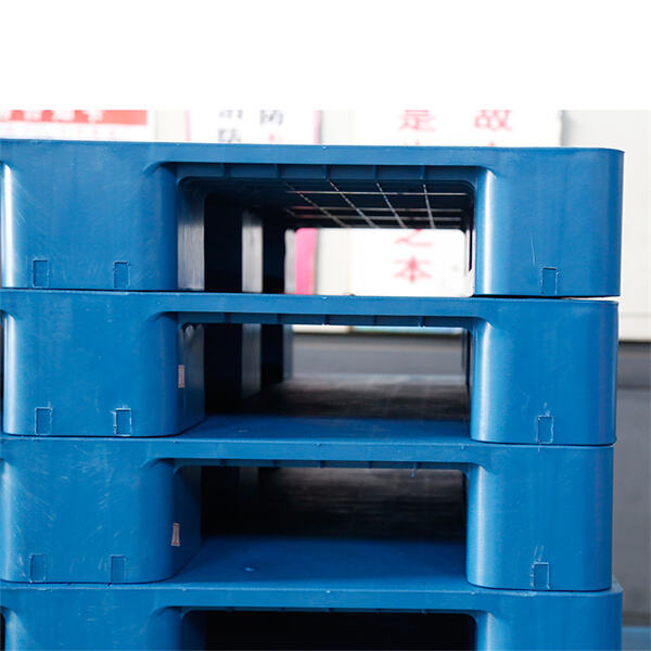 Eco-Friendly Options for Shipping and Storage
